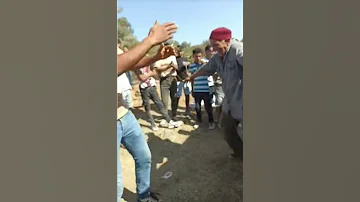 بريحان عمدون باجة باجه 