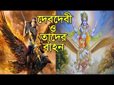 ভিডিও: ময়ূর কোন ঈশ্বরের বাহন?