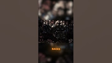 Slug Friends | Transformers: War for Cybertron