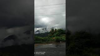 Beauty of Wayanad | Scenic places | #shorts #ontheway #enroute #wayanad | The Little Wind Chimes
