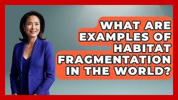 What Are Examples Of Habitat Fragmentation In The World? - Bird Watching Diaries