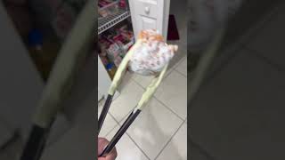 Powdered donuts and tongs #nikolai #ranpoe #fypシ
