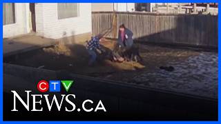 Woman testifies about being attacked by dogs that killed boy
