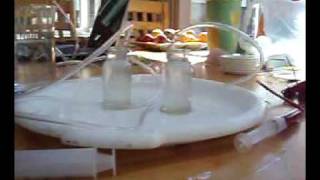 Gravity Of Life (Part1)