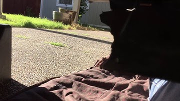 2007 Lexus RX 350 Bank 1 sensor 1 replacement