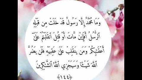 تلاوة من سورة آل عمران |ناصر القطامي|