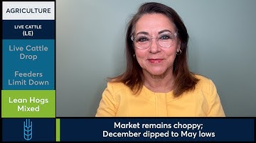 Live Cattle futures fell limit down as cash prices dropped. 11/24/25