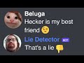 When Lie Detector Destroys Friendships... (Beluga vs Hecker)