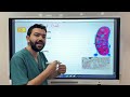 Histology 101 Lecture 3 قصر العيني دفعة ١٩٩ د أحمد عمار 