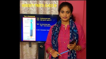 #UNIT3:HeredityPart5#Class10 #Incomplete Dominance#Sex Determination in Human#Life science#WBBSE