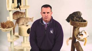 Football on BTN | Northwestern
