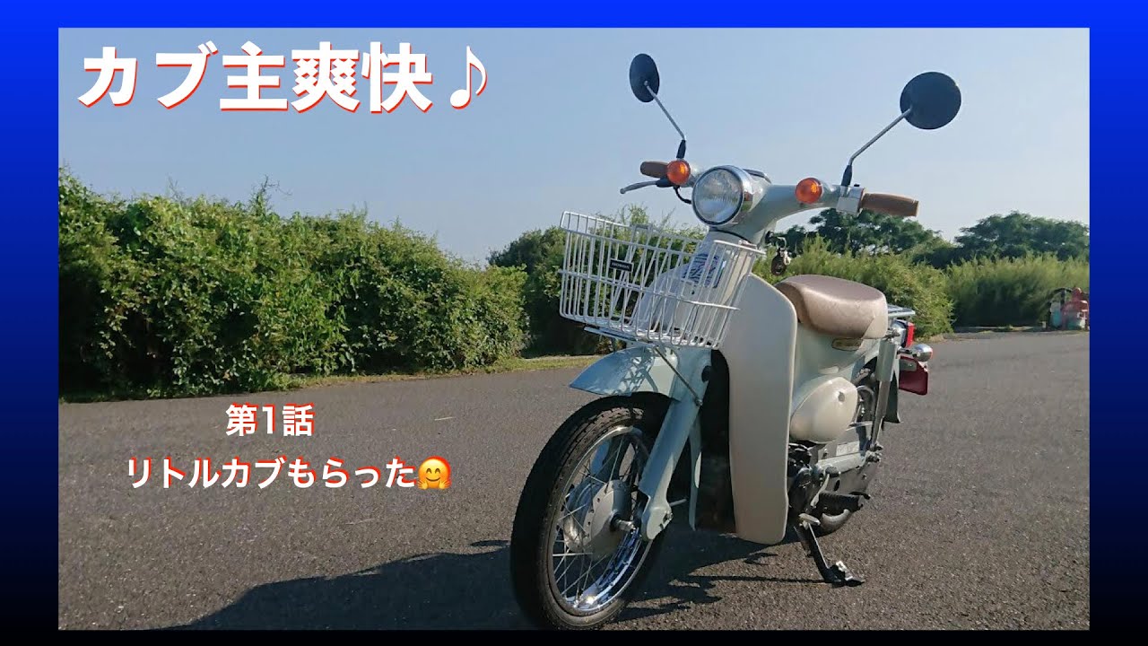 リトルカブ】1話 もらった🤗 - YouTube リトルカブ】1話 もらった🤗 - YouTube