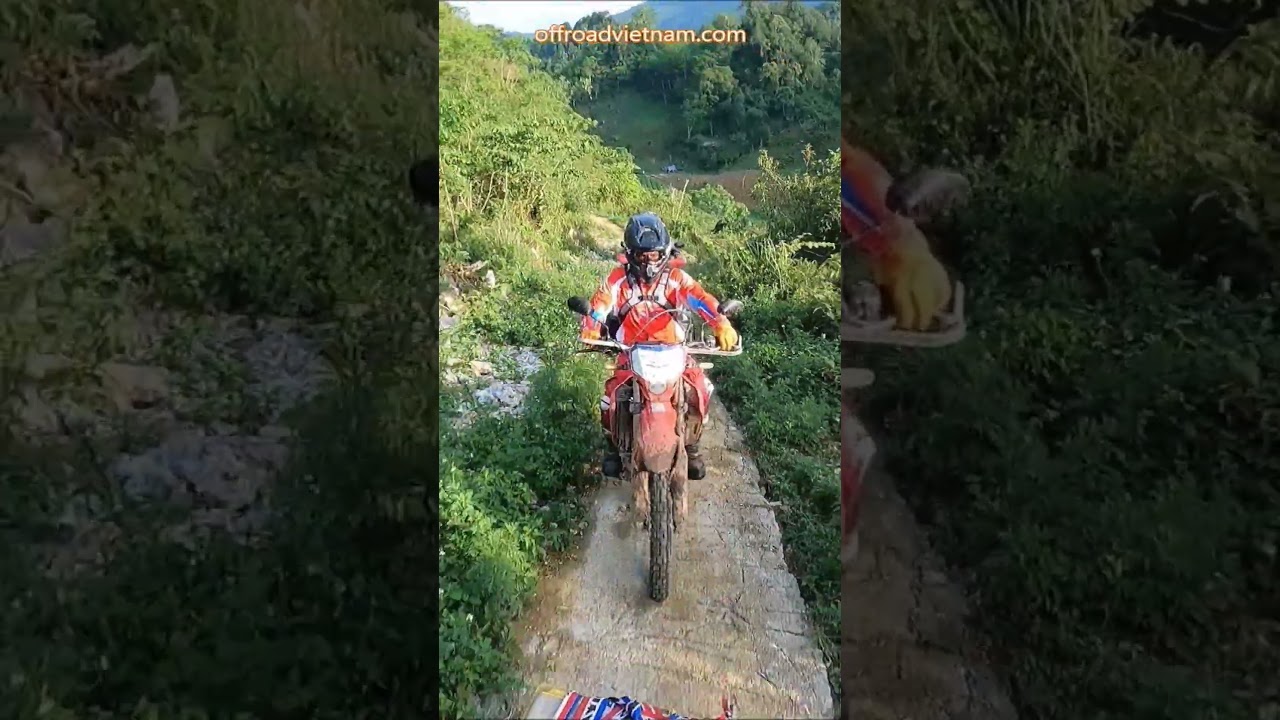 ⚙ Vietnam's Authentic Beauty ⚙️ Vietnam Motorbike Tours #vietnam #motorcycle #motorbike #tours #rent