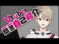 【自己紹介】Vtuber一問一答自己紹介【あれっくす/新人Vtuber】