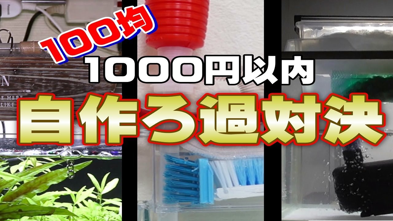 水槽熱帯魚アクアリウム 第一回 100均上部ろ過王 Diy 竿乃皮 被輝 100均スタイル