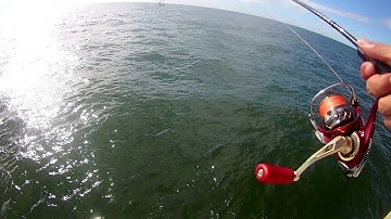 CÂU CÁ CHÉC TRỤ ĐIÊN HÒN SƠN ( ĐƯỢC BỮA DẮT ĐỆ TỬ LINH MINI NÓ BÀO QUÁ BÀO) P3