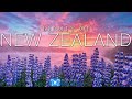 BEAUTY OF NEW ZEALAND (4K) 1HR Nature Relaxation™ Film + Music for Stress Relief - South Island UHD