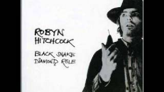 Video thumbnail of "Robyn Hitchcock - Love"