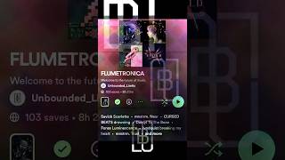 Flumetronica: a Spotify Playlist for FLUME birds