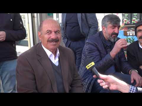 Mazi TV İle