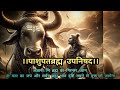 Revealing the hidden wisdom of pashupatbrahm upanishad