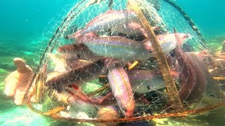 spot na Hindi ko makalimutan.Halos umapaw Ang laman ng.(FISH TRAP) Catch & sell.