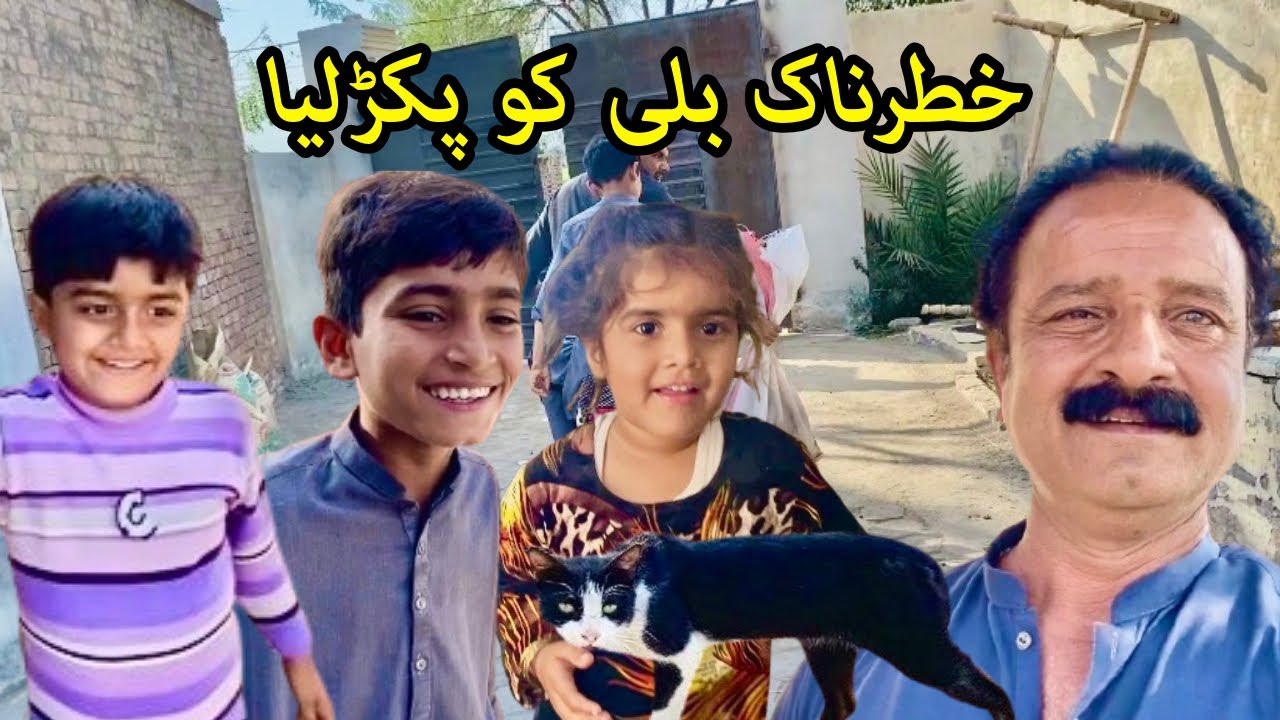 Khatarnak Billi Ko Pakar Liya 😱 | Real Life Rescue Mission #Billi #Rescue #AnimalLover #ViralVideo 