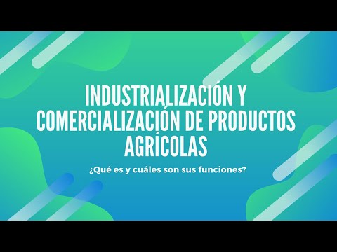 Video: Bashkiria Tiene La Intención De Aumentar El Volumen De Procesamiento De Productos Agrícolas