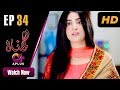 Watch Gunnah - Episode 34 | Aplus Dramas | Sara Elahi, Shamoon Abbasi, Asad Malik | Pakistani Drama Online In HD