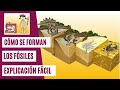 ¿Cómo se forman los fósiles? | EXPLICACIÓN FÁCIL PARA NIÑOS