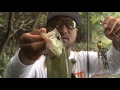 大漁生活 Vol.113