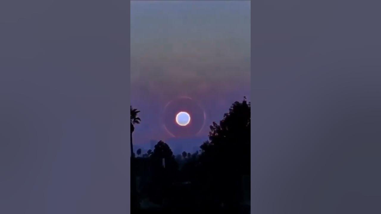 WHAT IF THE SUN EXPLODED!!