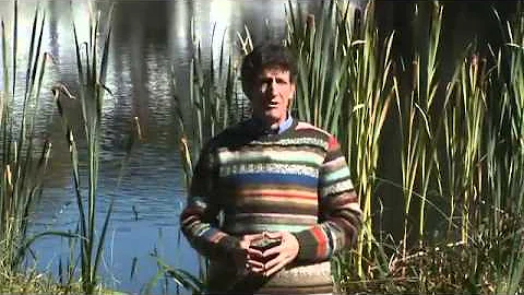 Have you hardened your heart? -Cliffe Knechtle