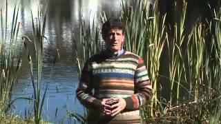 Have you hardened your heart? -Cliffe Knechtle