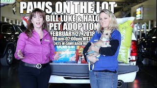 BILL LUKE & HALO  PAWS ON THE LOT
