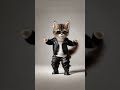 かっこいいバイクネコ #cat #animaldance #petdance #dance#catvideos