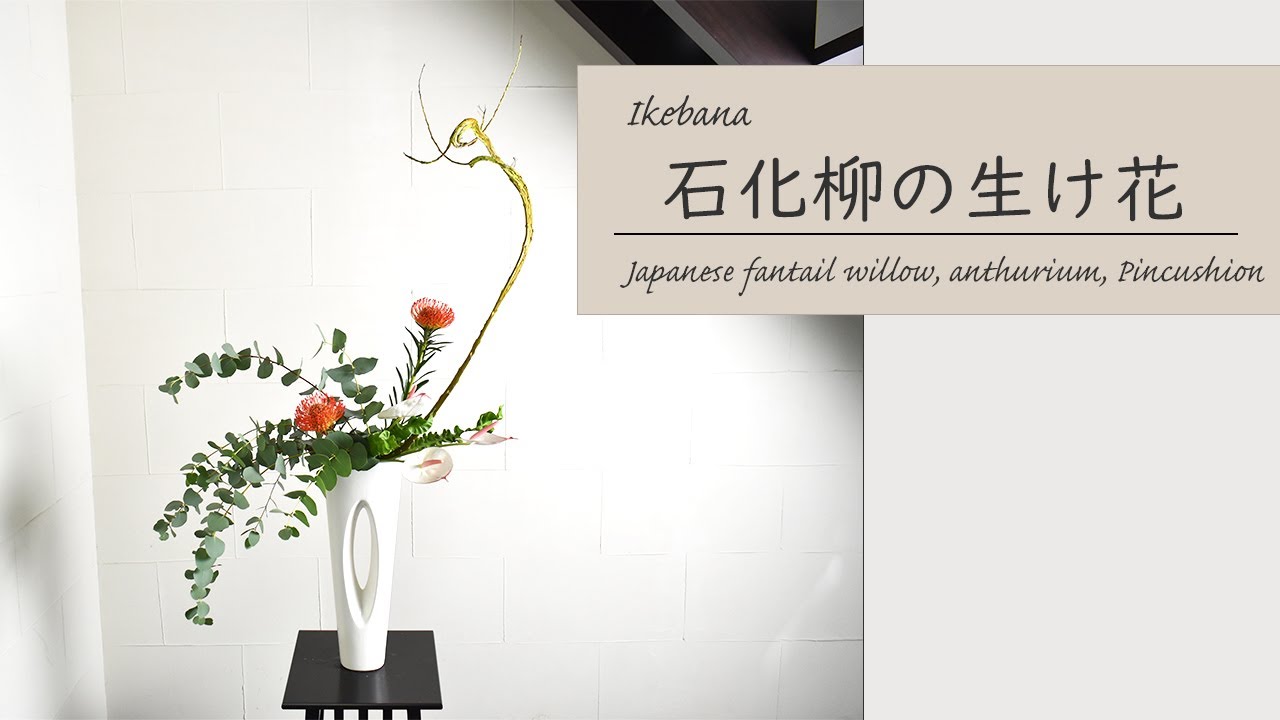 石化柳花言葉 _ 蛇竜柳 特徴 – ZJFK