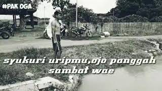 Story WA  kudu sambat karo kahanan(edisi pak ogah jegur kali/edisi pak ogah nyebur kekali)