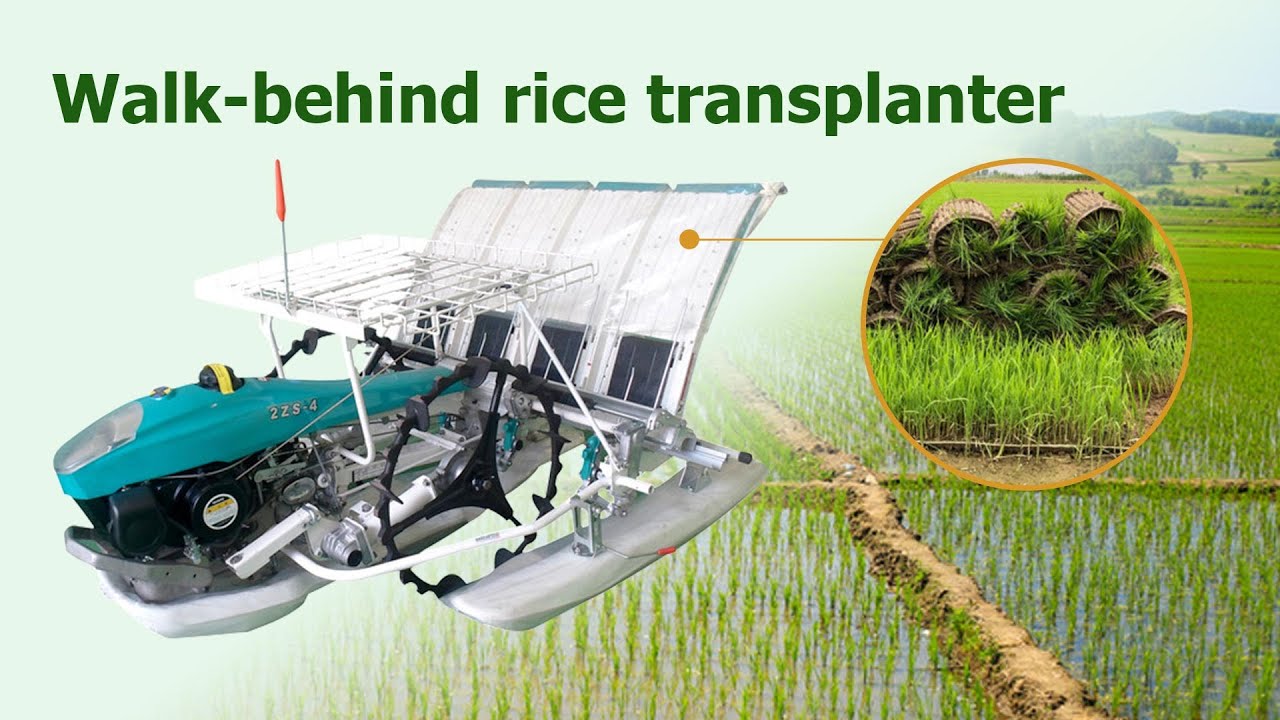 Walk-behind Transplanter | Rice Planting Machine Taizy Machinery Ltd