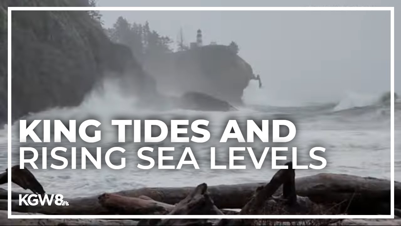 King tides offer clues about effects of rising sea levels - YouTube
