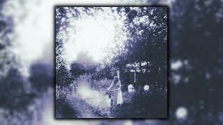 Careus - In Absentia