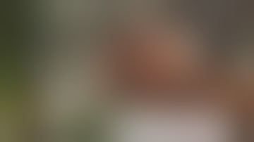 Omni ตัวท๊อปของ Dynavap ใช้คู่Amored Cap ดูจากรีวิวจนจบ ดูสีดอกที่อบแล้ว คือสุดทางเลยครับ @lztoad