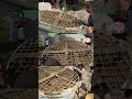 Beton Argile - Sable, Argile, Cailloux