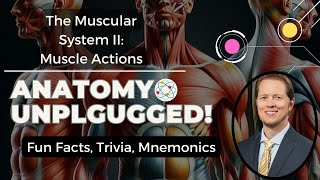 Muscle Movement Made Easy: Flexion, Extension, Abduction, Adduction and more! | Anatomy Unplugged