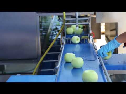 Video: Yuav Ua Li Cas Khov Txiv Apples Nyob Hauv Wedges
