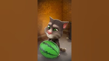 My Talking Tom 2 New Video Best Funny Android GamePlay 17