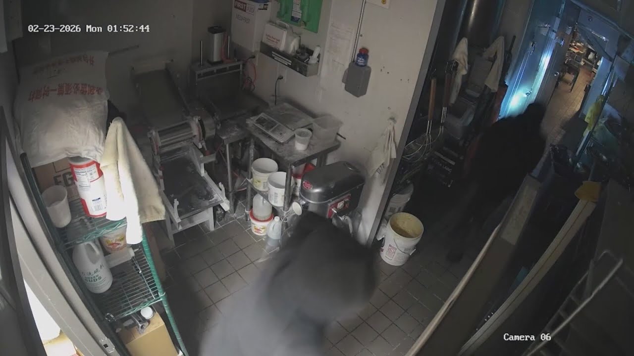 Seven Berkeley businesses burglarized in one night - YouTube