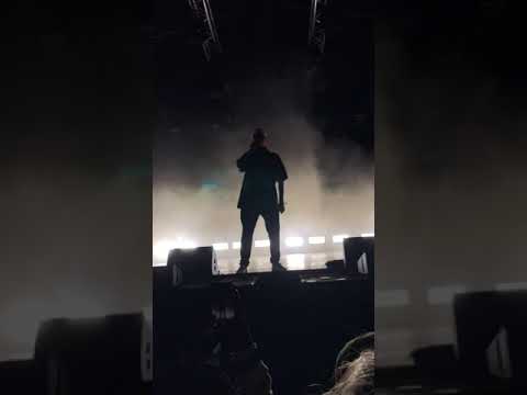TRETTMANN - Delicious / SPEKTRUM 2019 Hamburg
