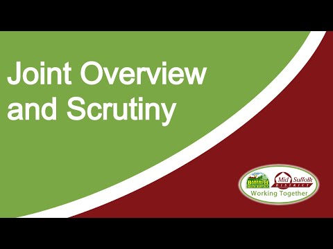 Joint Overview and Scrutiny Committee - 27/06/2022