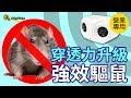 Digimax UP-11K 營業用 專業級超音波驅鼠器 超優惠2入組 product youtube thumbnail